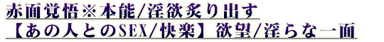 Ԗʊo偦{\/~toy̐lƂSEX/yz~]/Ȉ