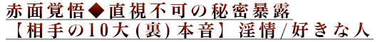 Ԗʊo偟s̔閧\Iy10(){z/DȐl